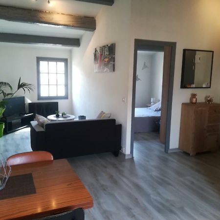 Appartement "Le Passage" 50 Passage De L'Ancien Courrier Narbonne Luaran gambar